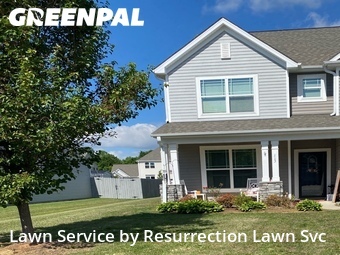 Lawn Cut nearby Whitsett, NC, 