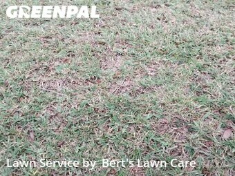 Lawn Maintenance nearby Delray Beach, FL, 
