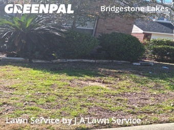 Lawn Cuttingin Spring,77388,Lawn Cutting by J.A Lawn Service, work completed in Feb , 2026