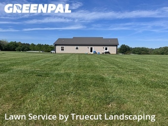 Lawn Mow nearby Gladys, VA, 