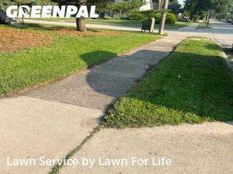 Yard Mowing nearby Madison Heights, MI, 