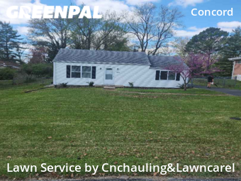 Yard Cutting nearby St. Louis, MO, 