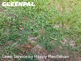Lawn Work in Kettering, 45409, Yard Cutting by Happy Plantsman, work completed in Oct , 2025