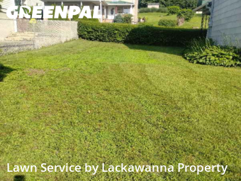 Lawn Cutting nearby Avoca, PA, 