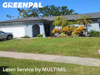 Lawn Mow nearby Palm Harbor, FL, 