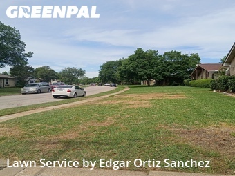 Grass Cutin Garland,75042,Lawn Care Service by Edgar Ortiz Sanchez, work completed in Jun , 2026