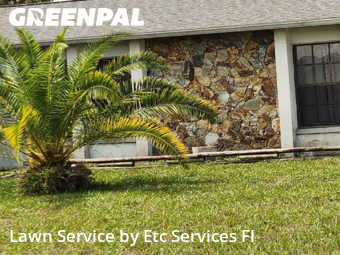Yard Care Services in Bayonet Point, 34668, Backyard Mowing by Etc Services Fl, work completed in Nov , 2025