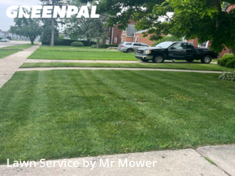 Grass Cutting nearby Eastpointe, MI, 