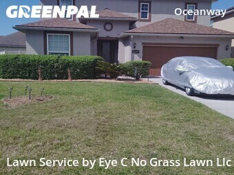 Grass Cut nearby Jacksonville, FL, 