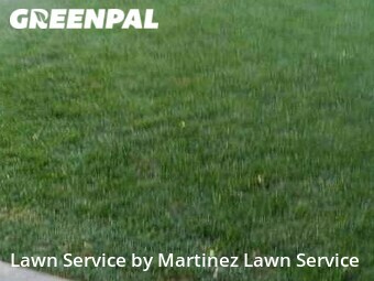 Lawn Mowing nearby Elk Grove, CA, 