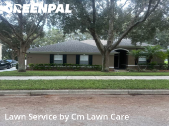 Yard Cutting nearby Apopka, FL, 