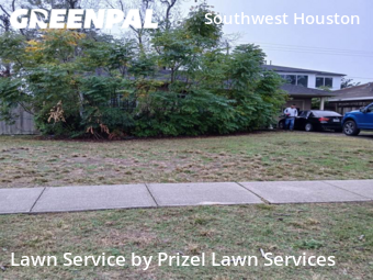 Grass Cuttingin Bellaire,77401,Lawn Mowing Service by Prizel Lawn Services, work completed in Nov , 2025