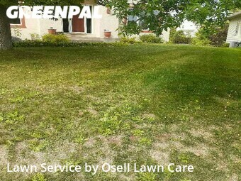 Lawn Cutting nearby Osseo, MN, 