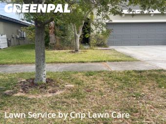 Lawn Mowing Servicein Tampa,33619,Lawn Service by Cnp Lawn Care, work completed in Dec , 2025