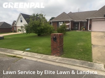 Lawn Cutting nearby Olive Branch, MS, 