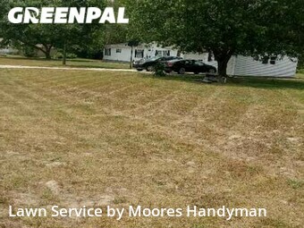 Lawn Cut nearby Harrington, MD, 