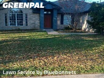 Lawn Mowing Service nearby Round Rock, TX, 