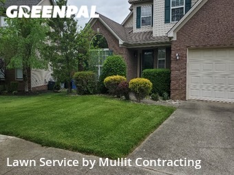 Yard Cutting nearby Lexington, KY, 