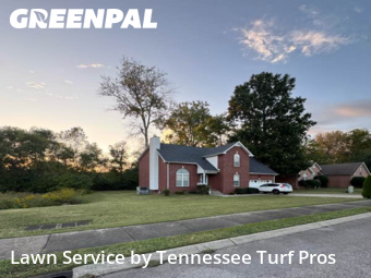 Lawn Carein Hendersonville,37075,Lawn Care Service by Tennessee Turf Pros, work completed in Nov , 2025