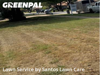 Grass Cutin Euless,76039,Grass Cutting by Santos Lawn Care , work completed in Nov , 2025