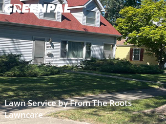 Yard Mowing nearby Elmhurst, IL, 
