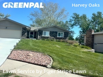 Lawn Mow nearby Omaha, NE, 