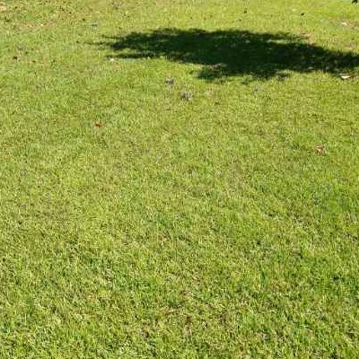 Lawn Mowing Contractor in Atlanta, GA, 30310