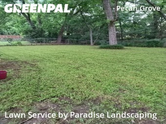 Lawn Mowing nearby Frisco, TX, 