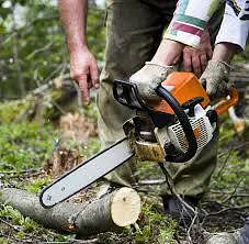 Garden State Power Equipment Photo 8