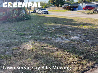 Yard Cutting nearby St. Petersburg, FL, 