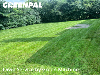 Grass Cut nearby Southfield, MI, 