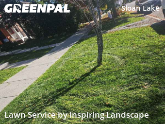 Grass Cuttingin Denver,80211,Yard Cutting by Inspiring Landscape, work completed in Dec , 2025