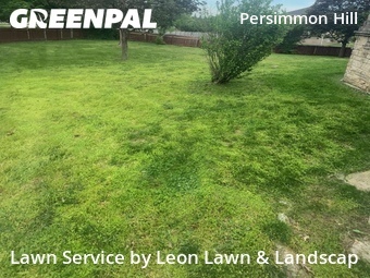 Lawn Cut nearby Olathe, KS, 