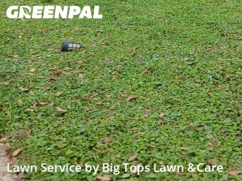 Lawn mowed in University, 32817