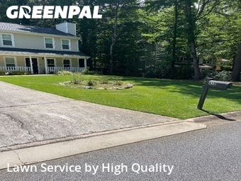 Yard Upkeep in Peachtree City, 30269, Yard Mowing by High Quality , work completed in Dec , 2025