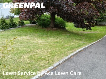 Lawn Service nearby Shelton, CT, 