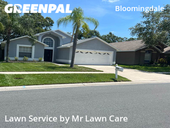 Yard Mowing nearby Bloomingdale, FL, 