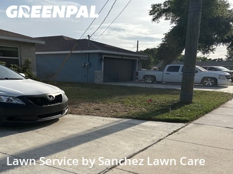 Lawn Mowing nearby Palmetto, FL, 