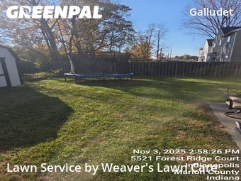 Landscaping In Indianapolis,46203,Landscape Design by Weaver's Lawn Care , work completed in Nov , 2025
