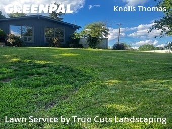 Yard Cutting nearby Columbus, OH, 