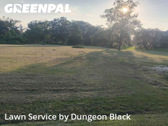 Lawn Maintenance nearby Prairieville, LA, 