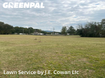 Lawn Cutting nearby New Hope, AL, 