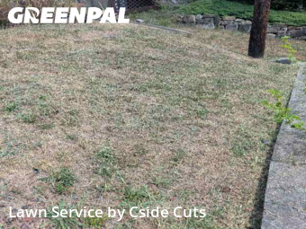 Lawn Cut nearby Pittsburgh, PA, 