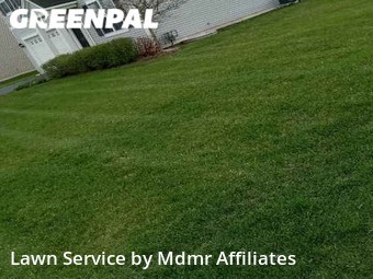 Lawn Cut nearby South Elgin, IL, 