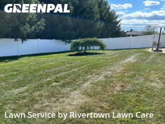 Grass Cut nearby Aliquippa, PA, 