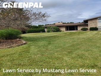 Grass Cut nearby Warren, OH, 