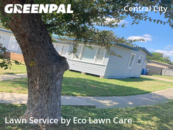 Yard Mowing nearby Corpus Christi, TX, 