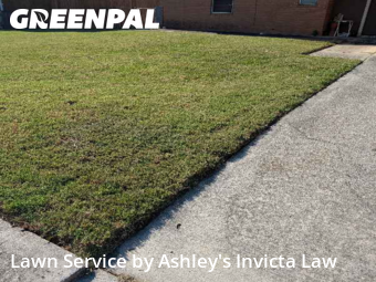 Backyard Landscaping In Killeen,76549,Landscaping Installation by Ashley's Invicta Law, work completed in Nov , 2025