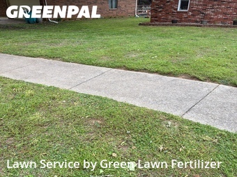 Lawn Care nearby Springfield, MO, 