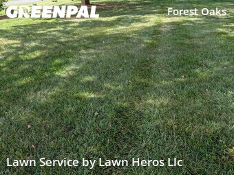 Lawn Cut nearby Greensboro, NC, 